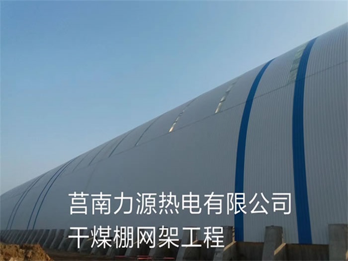 枣庄力源热电有限公司干煤棚网架工程